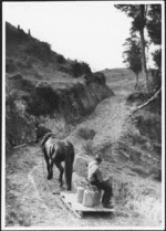 Man with milk cans riding on a horse-drawn sled, Mokau River