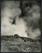 Geyser, Wairakei