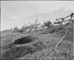 Whata (for drying eels) on the shore of Lake Forsyth, Canterbury