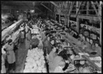 Food dehydration plant, Pukekohe, Auckland