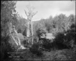 At Anahau Creek, Takaka