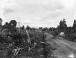 State highway between Ohakune and Horopito