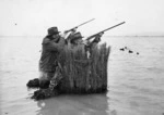 Duck shooting from a maimai on Lake Ellesmere, Canterbury