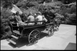 Sight-seeing cart at Wellington Zoo, New Zealand - Photograph taken by Greg King