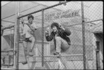 Keepers working on new monkey cage, Wellington Zoo, New Zealand