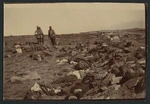 Dead bodies of soldiers after the battle of Kaymakchalan, Macedonia, Serbia, during World War I