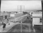 Commerce Street, Kaitaia