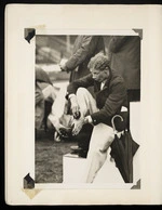 Photograph of Jack Lovelock preparing for the heats of the 1936 English mile championship