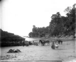 People on Pohara Beach