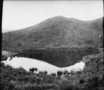 Lake, south east Miramar, Wellington