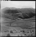 Mt Peel from Orari Gorge Station