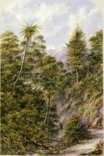 [Barraud, Charles Decimus] 1822-1897 :Belmont Road, Hut Wellington N Z 1871