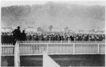 Racecourse, Greymouth