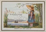 Archibald Dudingston Willis (Firm) :Docharty's Bay, Dusky Sound, N.Z. [ca 1885]