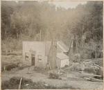 Miner's Rest Hotel, Okarito Forks, West Coast