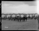 New Zealand Artillery horse teams at Ewshot Camp, England
