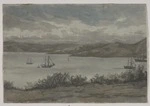 [Mantell, Walter Baldock Durrant] 1820-1895 :From Wellington Terrace, 1855