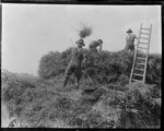 New Zealand soldiers helping with the harvest in World War I