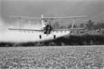 Biplane spraying potato crop with fertiliser - Photograph taken by Ross Giblin