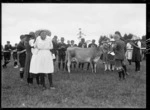 At an agricultural fair, probably Stratford district