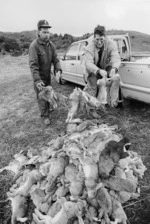 Steve Playle and Ken Wright with poisoned rabbits - Photograph taken by Ray Pigney