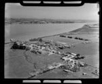 Rural area, Ruawai, Northland