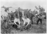 Gum diggers at their camp, Northland