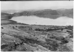 Kohukohu from Ivydale, Hokianga