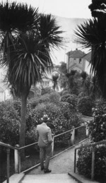 Walkway down to Oriental Parade, Wellington