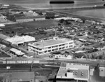 Overlooking Petone