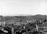 Land cleared of trees at Titahi Bay