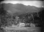 View of the bush and hills, near Oteranga Bay, Cape Terawhiti