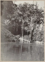 Te Ana-o-Tu-whaka-airi-au cave on banks of Whanganui river