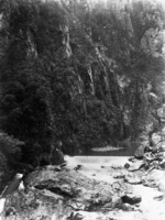 Waitawheta Gorge, Waikato