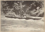 Snagging, possibly Whanganui River