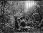 Bushmen in Akatarawa, Upper Hutt, Wellington, cutting tree trunks into suitable lengths