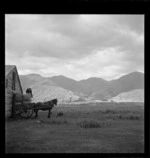 Loading wool bales, Manuka Point Station, upper Rakaia River valley, Canterbury