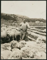 Laurie Walker among the sheep, Manuka Point Station, Canterbury