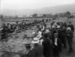 Sheep sale, Nelson