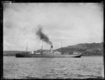 RMS Athenic, Wellington Harbour
