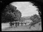 Cows on a road, Mangamahu