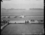 The Autumn Handicap race