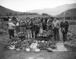 Unemployed men displaying vegetables grown on garden plots, Newtown