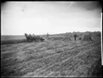 Harvesting in a grain field on the Dyet farm, West Plains, Southland