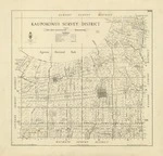 New Zealand. Department of Lands and Survey : Kaupokonui Survey District [map with ms annotations]. 1941