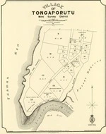 New Zealand. Department of Lands and Survey : Village of Tongaporutu - Mimi Survey District [map]. November 1896