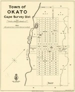 New Zealand. Department of Lands and Survey : Town of Okato - Cape Survey District [map]. 1906