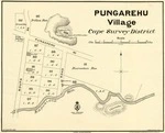 New Zealand. Department of Lands and Survey : Pungarehu Village - Cape Survey District [map]. 1906