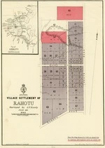 New Zealand. Department of Lands and Survey : Village Settlement of Rahotu [map]. August 1881
