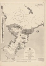 Great Britain. Hydrographic Office :Whangaroa Bay and Harbour [map with ms annotations]. 1867